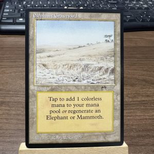 Elephant Graveyard