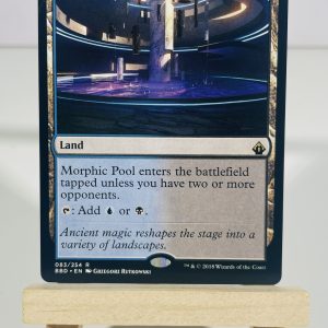 Morphic Pool