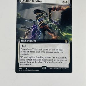 Leyline Binding