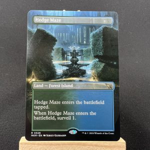 Hedge Maze