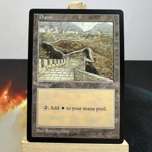 Plains