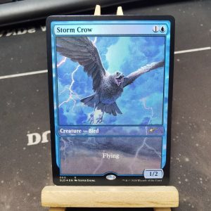 Storm Crow