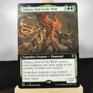 Ashaya, Soul of the Wild